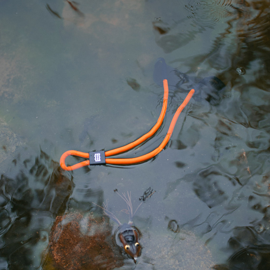 orange sunglass straps floating in water 