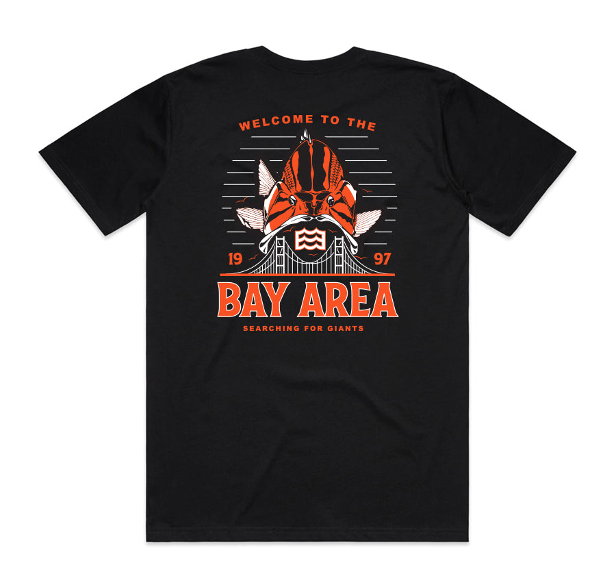 WELCOME TO SF TEE – Lateral Vision